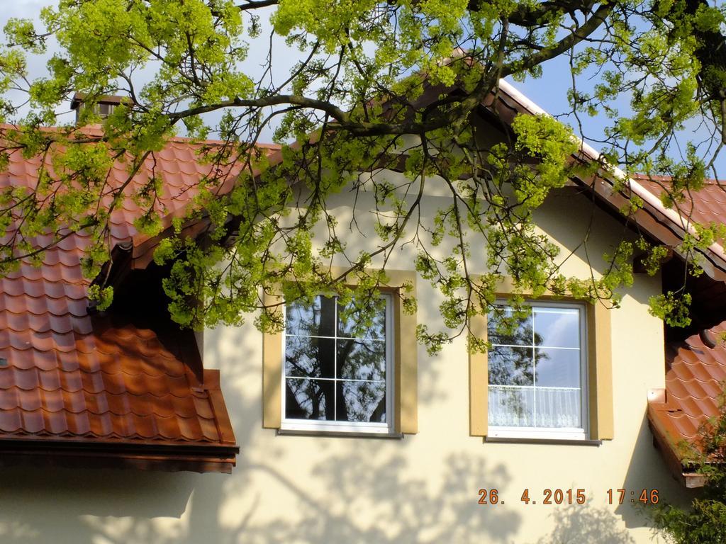 Agroturystyka Wielkie Lezno מראה חיצוני תמונה